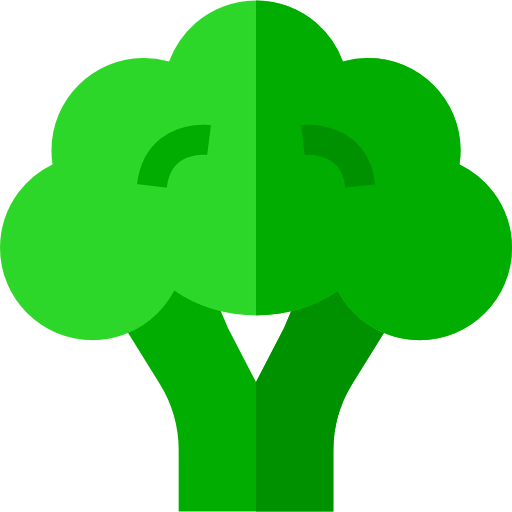 Broccoli icon