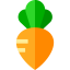 Turnip biểu tượng 64x64