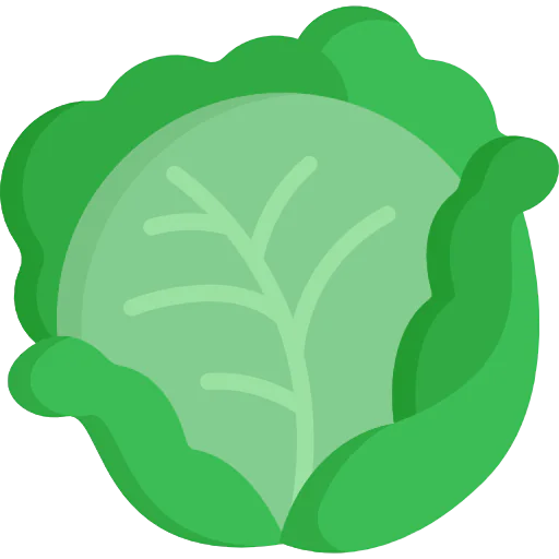 Cabbage 图标