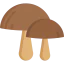 Mushroom ícone 64x64