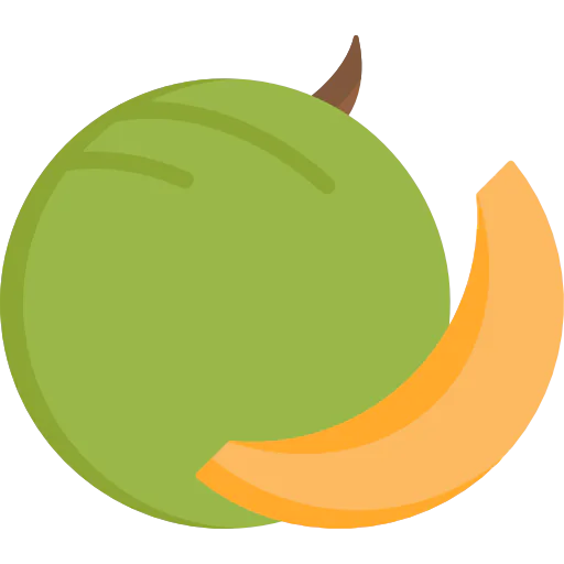 Melon icon