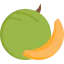 Melon ícone 64x64