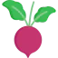 Beet ícone 64x64