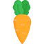 Carrot ícone 64x64