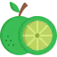 Lime ícone 64x64