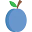 Plum ícone 64x64
