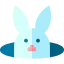 Rabbit icon 64x64