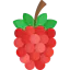 Raspberry ícono 64x64