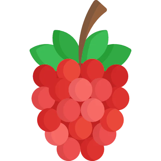 Raspberry ícone