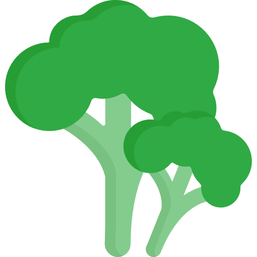 Broccoli icon