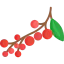 Berries ícone 64x64