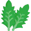 Lettuce ícone 64x64