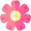 Flower icon 64x64