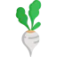 Radish ícone 64x64