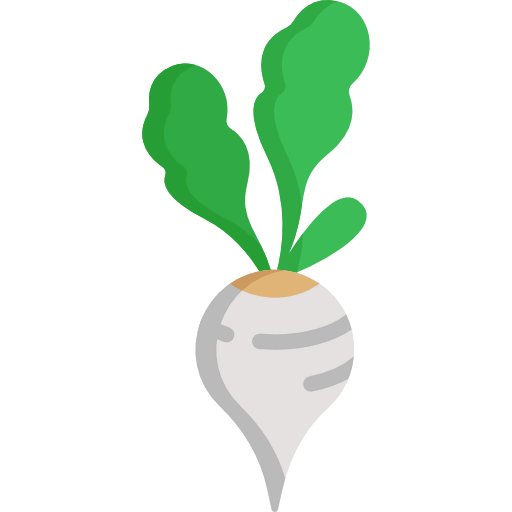 Radish icon