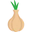 Onion ícone 64x64