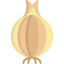 Onion ícone 64x64