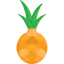 Pineapple ícone 64x64