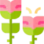 Flower icon 64x64