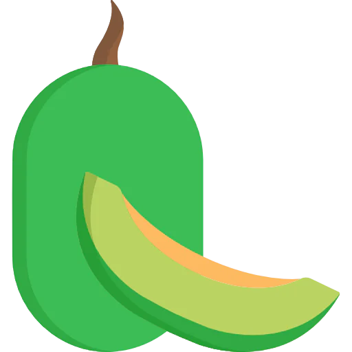 Melon icon