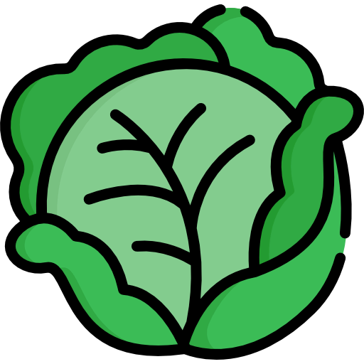 Cabbage アイコン