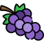 Grapes icône 64x64