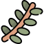 Branch 图标 64x64