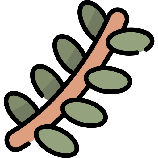 Branch icon