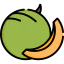 Melon icône 64x64
