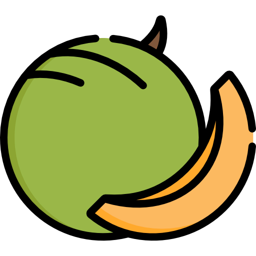 Melon icon