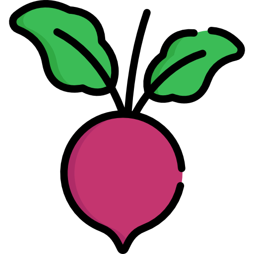 Beet icon