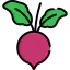 Beet icône 64x64