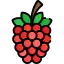 Raspberry ícono 64x64