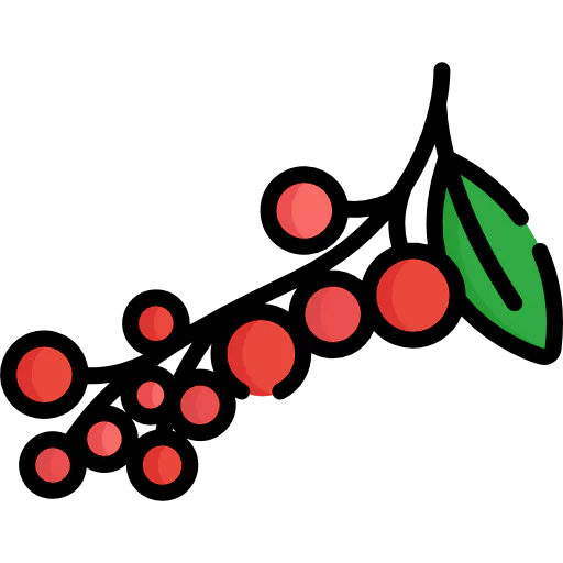 Berries 图标