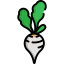 Radish icône 64x64