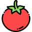 Tomato Ikona 64x64