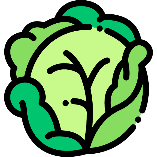 Cabbage 图标