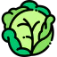 Cabbage Ikona 64x64