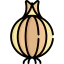 Onion icône 64x64