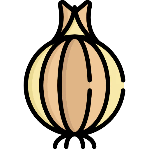 Onion 상