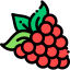 Raspberry ícono 64x64