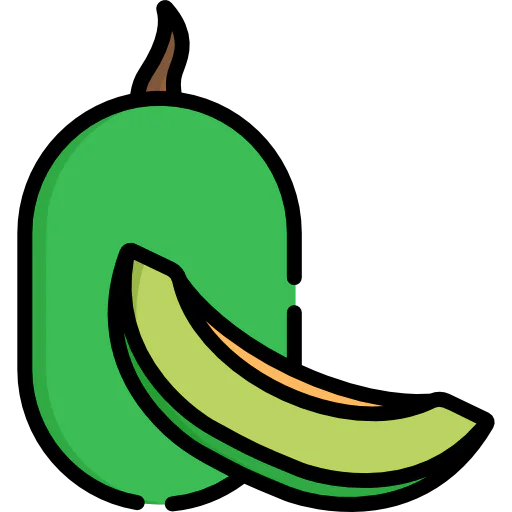 Melon icon