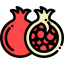 Pomegranate Ikona 64x64