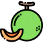 Melon Ikona 64x64