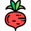 Radish Ikona 64x64