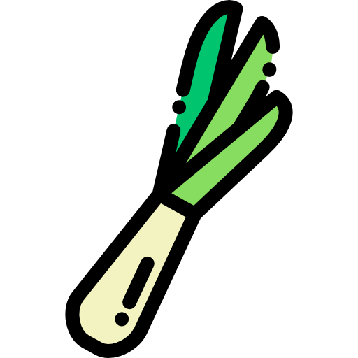 Spring onion icône