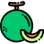 Melon Ikona 64x64