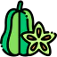 Carambola Ikona 64x64
