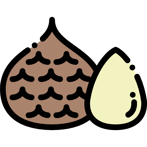 Fruit icon