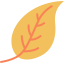 Leaf 图标 64x64